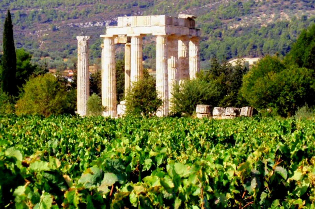 Athens and Nemea wine tour 9-h