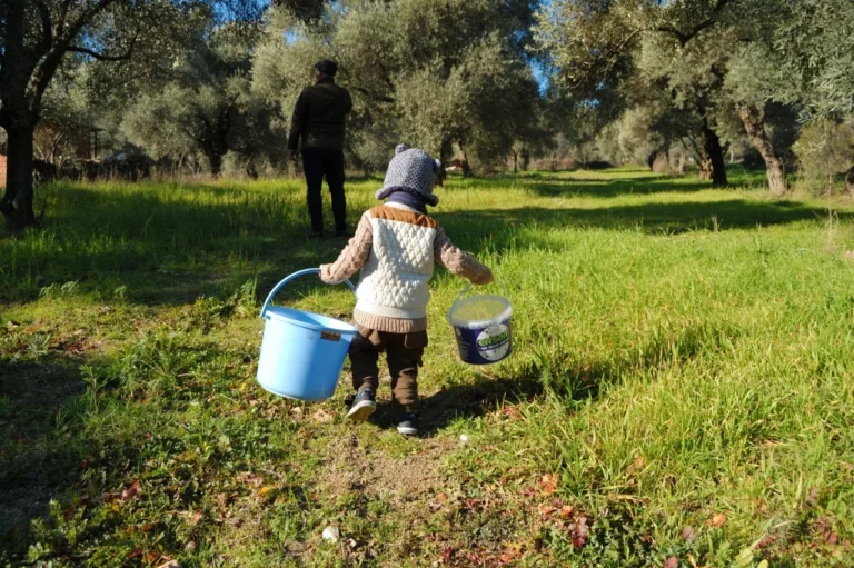 Biblical Corinth And Olive Oil Tasting Private Tour 8-H